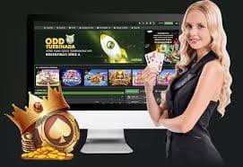 29 bet login